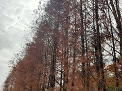 -中国移动南方基地