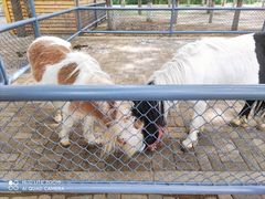 -长白岛森林公园