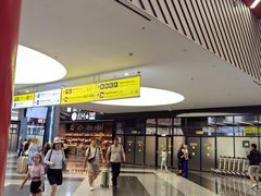 -谢列梅捷沃国际机场