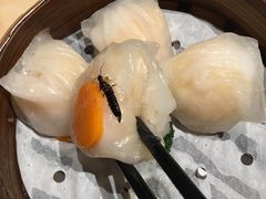 -避风塘(百联东郊店)