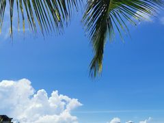 -海南鉴湖蓝湾高尔夫球会