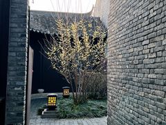 -东台西溪天仙缘景区