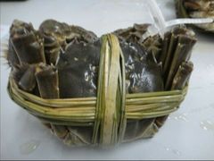 阳澄湖大闸蟹-宜宾海鲜酒家·三十年老字号