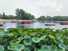 -什刹海