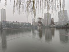 -宝岛公园