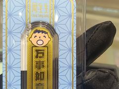 -首开·龙湖成都西宸天街