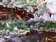 -鲤院·新中式美学·庭院餐厅(夫子庙店)