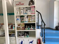 -诺比宠物医院心脏内科·泌尿肾内外科·骨科急重症