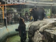 -灵玲国际马戏城