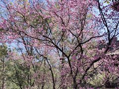 -天龙八部武侠城