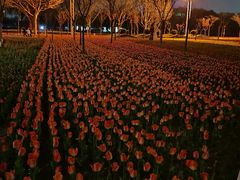 -廊坊文化艺术中心