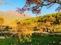 -塔川景区