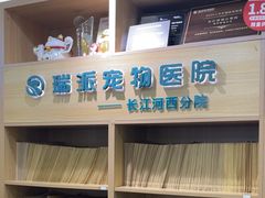 -瑞派长江宠物医院·猫科·外科·24小时夜护(谊城公寓分院)