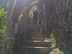 -水墨汀溪风景区