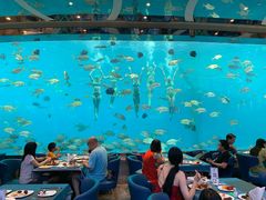 -瑞德姆美人鱼海底演艺主题餐厅(亚龙湾店)