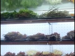 -镇江龙·火锅串串(武侯祠店)