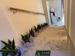 -海涛医疗美容·面部抗衰·注射美鼻