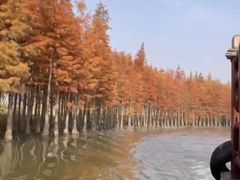 -苏州太湖国家湿地公园
