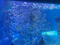 -波塞冬海底世界