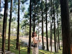 -玉苍山国家森林公园