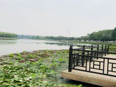 -素心小筑(后沙裕镇店)