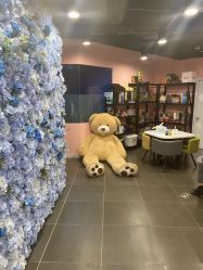 -doladola(徐家汇店)