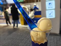 -西琳姑娘·新疆冰淇淋酸奶茶(南开大悦城店)