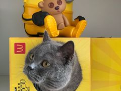 -麦当劳(哈西万达店)