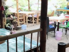 -Jungle Kitchen