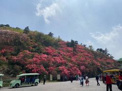 -木兰云雾山