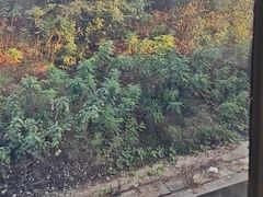 -岳阳东站