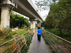 -桤木河湿地公园