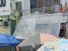 -芽庄喜来登水疗酒店