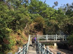 -东莞市大岭山森林公园