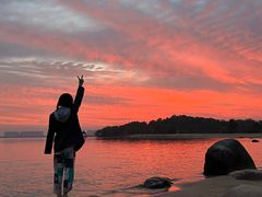 -瑶湖郊野森林公园