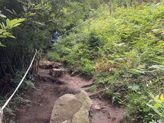 -树山生态村