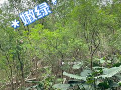 -梧桐山风景名胜区