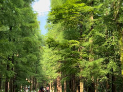 -艾溪湖湿地公园