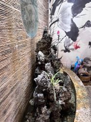 -小红帽摄影(丽江店)