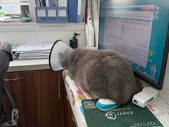 -心仪动物医院·牙专科·肿瘤·心脏科(西客站院)