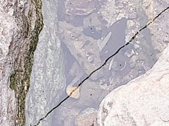 -黑龙潭风景区