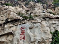 -仙蘑洞