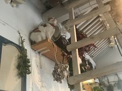 -小时光咖啡馆(北锣鼓巷店)