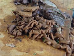 -陈记卤煮小肠