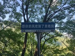 -灵栖洞天