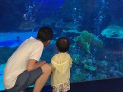 -成都浩海立方海洋公园