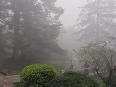 -庐山风景区花径公园