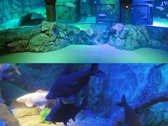 -沈阳海洋探索中心