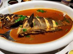 葱油黑头鱼-海岛渔村大酒店(云霄路店)