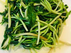 -古南都·老广东酒楼(龙江店)